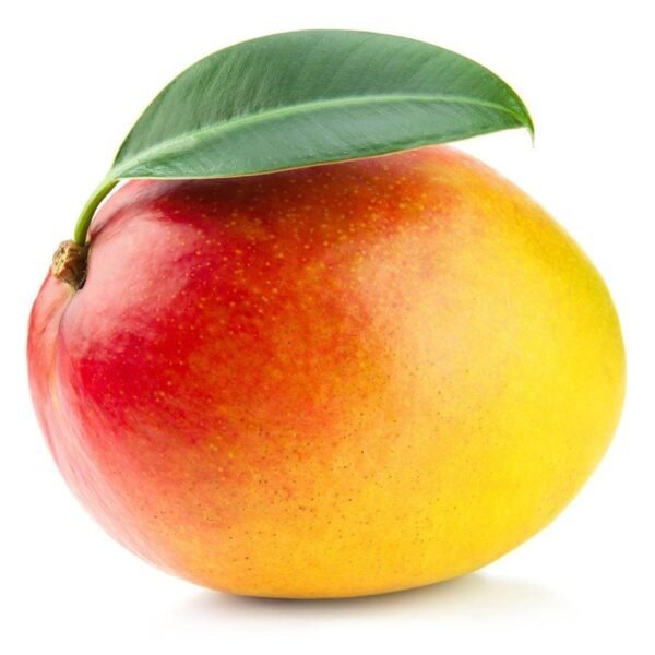 Football Mango ( Grafted )