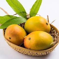 Swagatham Mango ( Grafted )