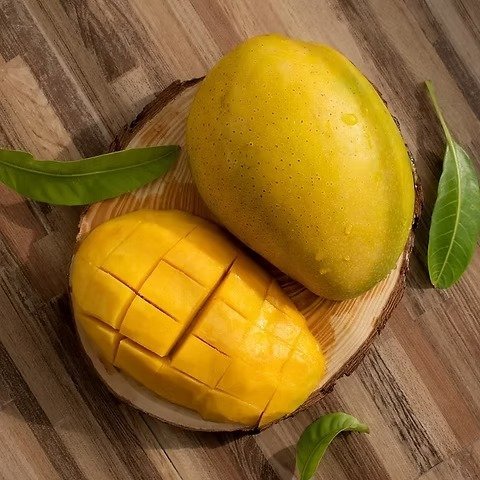 Himani Pasand Mango ( Grafted )