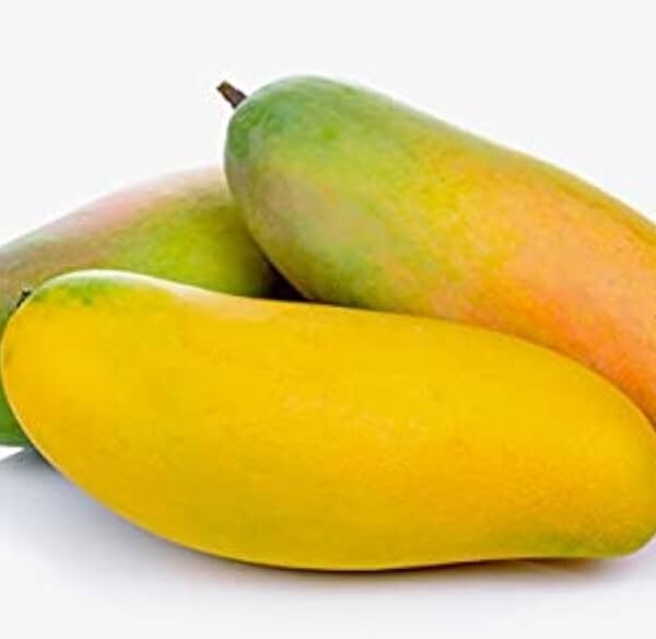 Mahachanok Mango ( Grafted )
